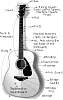 guitardiagram.jpg